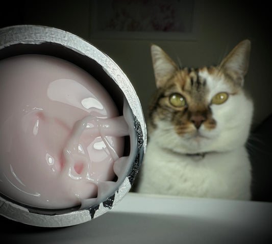 Cream Tixo Milky Rose